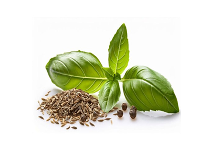 Cumin Seed