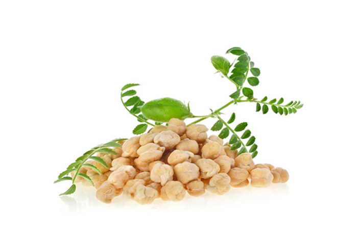 Chickpea