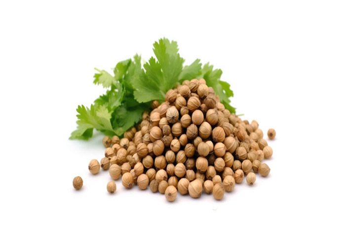 Coriander Seed