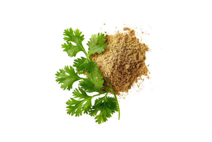 Coriander Seed
