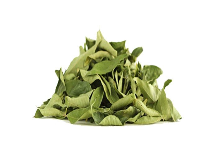 Curry leaf