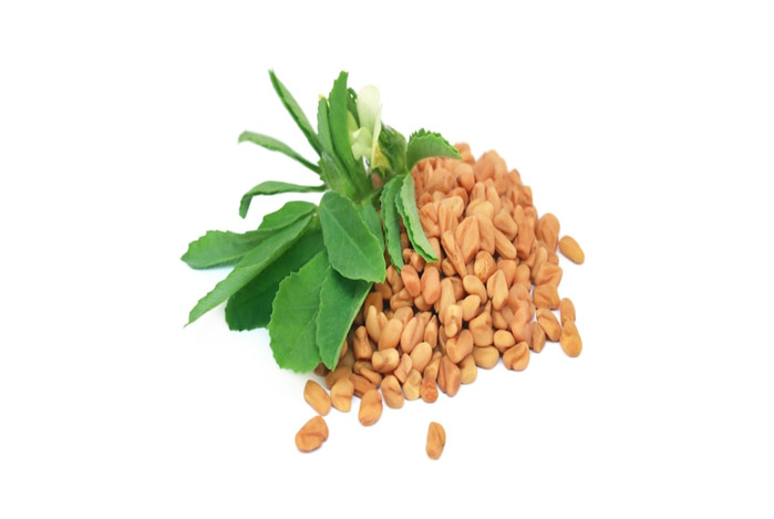 Fenugreek Seed