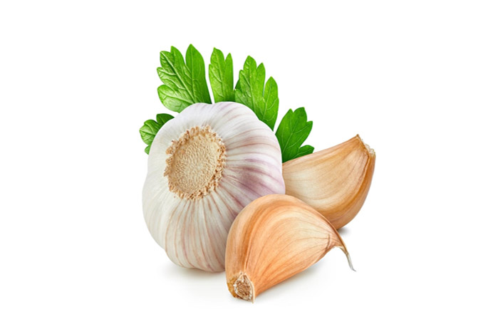 Garlic