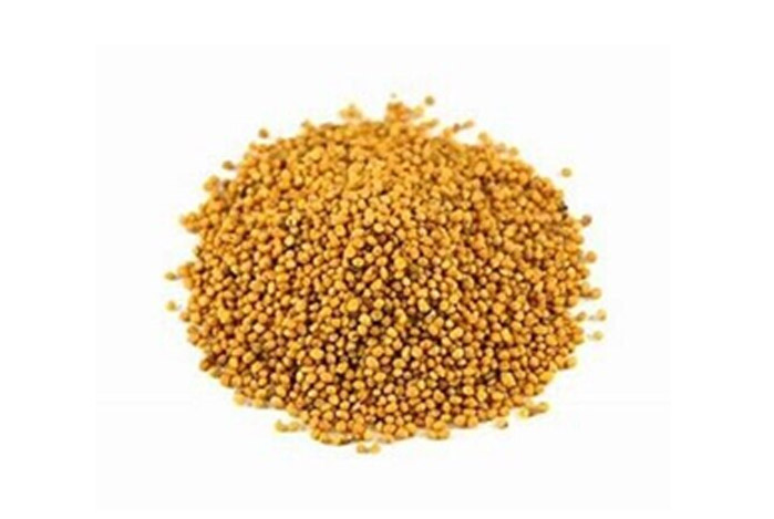 Yellow Mustard Seed