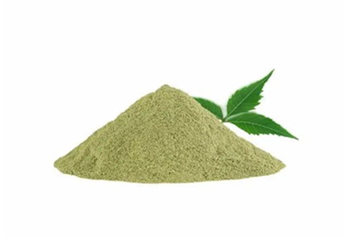 Neem Leaves