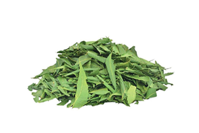 Neem Leaves