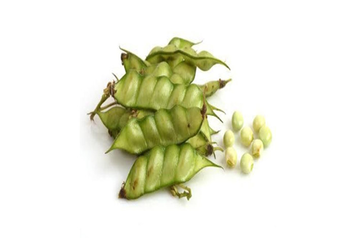 pigeon-pea