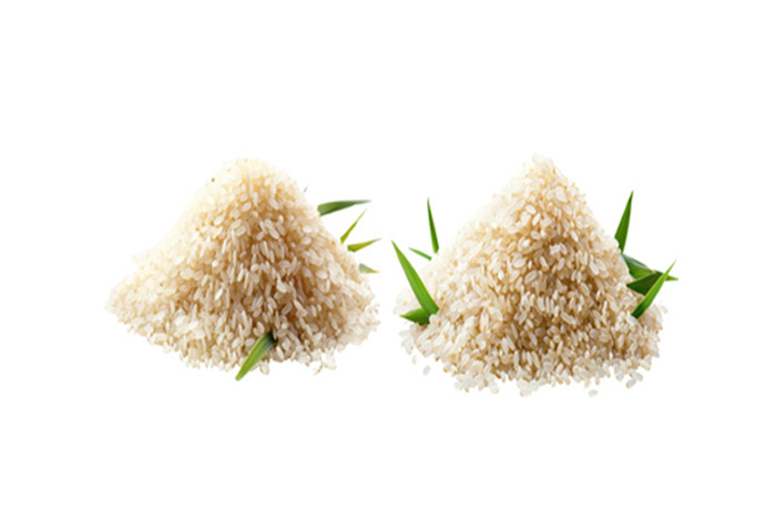 Rice