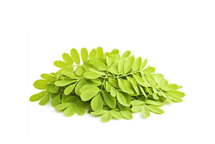 Senna Leaves