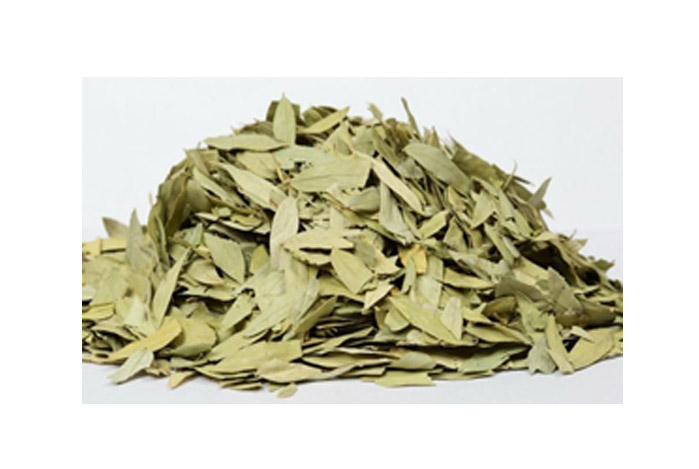 Senna Leaves