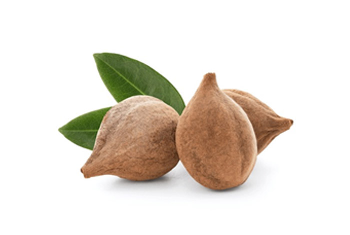 Terminalia Bellirica