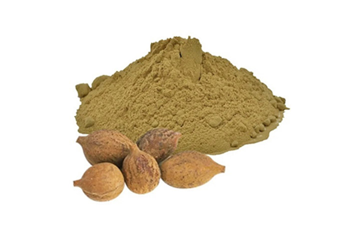 Terminalia Bellirica