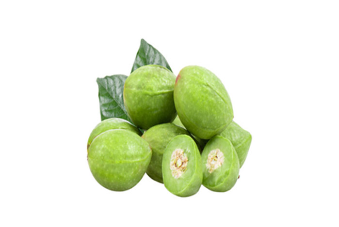 Terminalia Chebula