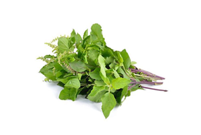Tulsi leaves