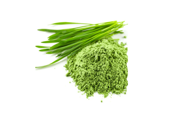 Wheat grass